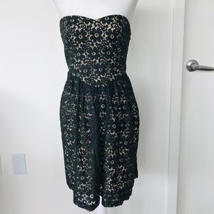 THE LIMITED Strapless Mini Lace Dress